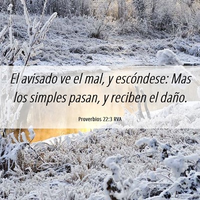 Picture 06 - Proverbios 22:3 RVA - El avisado ve el mal, y escóndese: Mas los - Bible Verse Picture