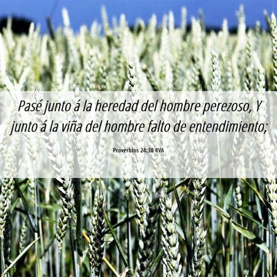 Picture 06 - Proverbios 24:30 RVA - Pasé junto á la heredad del hombre perezoso, Y - Bible Verse Picture