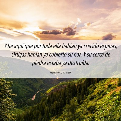 Picture 06 - Proverbios 24:31 RVA - Y he aquí que por toda ella habían ya crecido - Bible Verse Picture