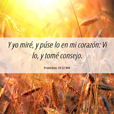 Picture 06 - Proverbios 24:32 RVA - Y yo miré, y púse lo en mi corazón: Vi lo, y - Bible Verse Picture
