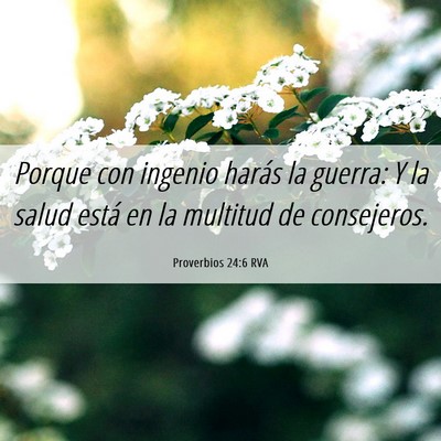 Picture 06 - Proverbios 24:6 RVA - Porque con ingenio harás la guerra: Y la salud - Bible Verse Picture