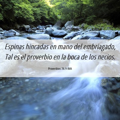 Picture 06 - Proverbios 26:9 RVA - Espinas hincadas en mano del embriagado, Tal es - Bible Verse Picture