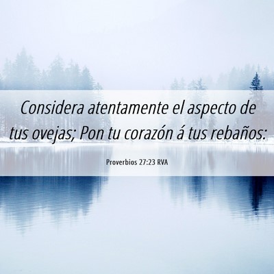 Picture 06 - Proverbios 27:23 RVA - Considera atentamente el aspecto de tus ovejas; - Bible Verse Picture