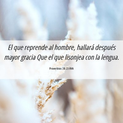Picture 06 - Proverbios 28:23 RVA - El que reprende al hombre, hallará después - Bible Verse Picture