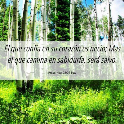 Picture 06 - Proverbios 28:26 RVA - El que confía en su corazón es necio; Mas el - Bible Verse Picture
