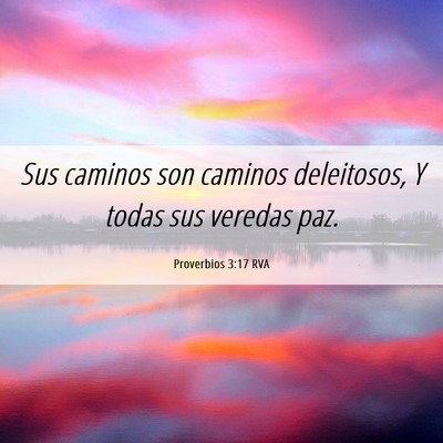 Picture 06 - Proverbios 3:17 RVA - Sus caminos son caminos deleitosos, Y todas sus - Bible Verse Picture