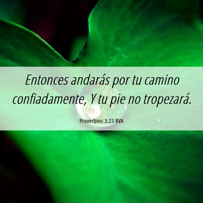 Picture 06 - Proverbios 3:23 RVA - Entonces andarás por tu camino confiadamente, Y - Bible Verse Picture