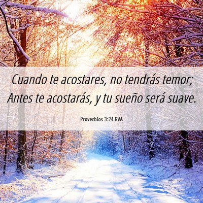Picture 06 - Proverbios 3:24 RVA - Cuando te acostares, no tendrás temor; Antes te - Bible Verse Picture