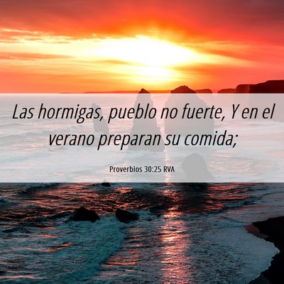 Picture 06 - Proverbios 30:25 RVA - Las hormigas, pueblo no fuerte, Y en el verano - Bible Verse Picture
