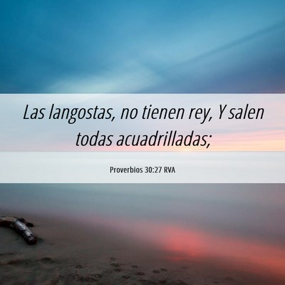 Picture 06 - Proverbios 30:27 RVA - Las langostas, no tienen rey, Y salen todas - Bible Verse Picture