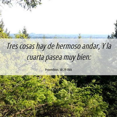 Picture 06 - Proverbios 30:29 RVA - Tres cosas hay de hermoso andar, Y la cuarta - Bible Verse Picture