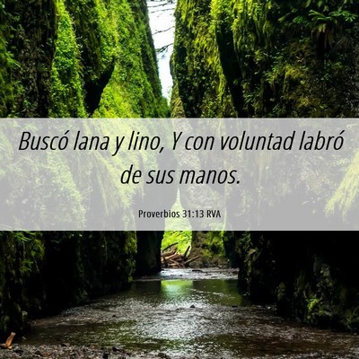 Picture 06 - Proverbios 31:13 RVA - Buscó lana y lino, Y con voluntad labró de sus - Bible Verse Picture