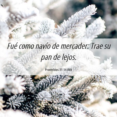 Picture 06 - Proverbios 31:14 RVA - Fué como navío de mercader: Trae su pan de - Bible Verse Picture