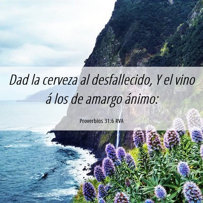 Picture 06 - Proverbios 31:6 RVA - Dad la cerveza al desfallecido, Y el vino á los - Bible Verse Picture