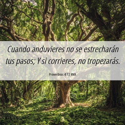 Picture 06 - Proverbios 4:12 RVA - Cuando anduvieres no se estrecharán tus pasos; Y - Bible Verse Picture