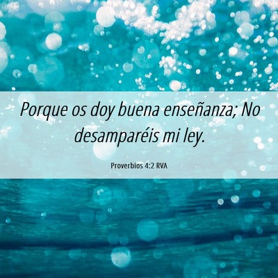 Picture 06 - Proverbios 4:2 RVA - Porque os doy buena enseñanza; No desamparéis - Bible Verse Picture