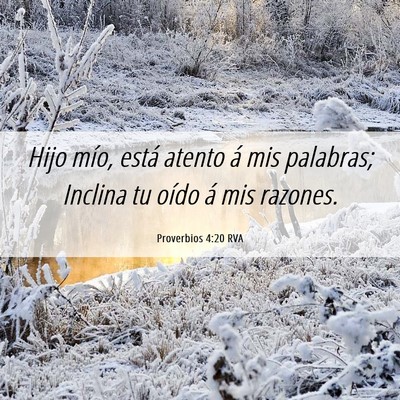 Picture 06 - Proverbios 4:20 RVA - Hijo mío, está atento á mis palabras; Inclina - Bible Verse Picture
