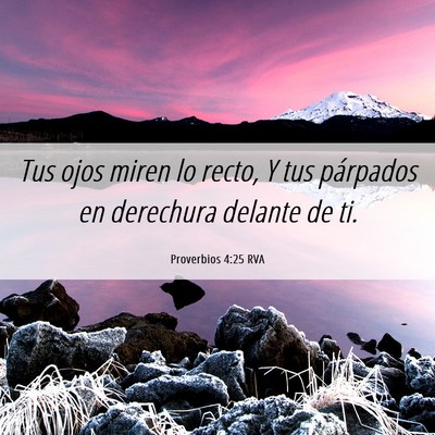 Picture 06 - Proverbios 4:25 RVA - Tus ojos miren lo recto, Y tus párpados en - Bible Verse Picture