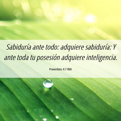 Picture 06 - Proverbios 4:7 RVA - Sabiduría ante todo: adquiere sabiduría: Y ante - Bible Verse Picture