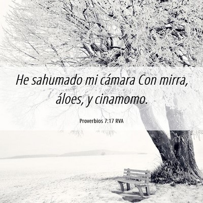 Picture 06 - Proverbios 7:17 RVA - He sahumado mi cámara Con mirra, áloes, y - Bible Verse Picture