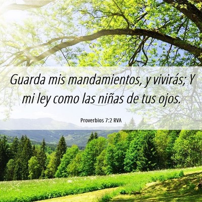 Picture 06 - Proverbios 7:2 RVA - Guarda mis mandamientos, y vivirás; Y mi ley - Bible Verse Picture