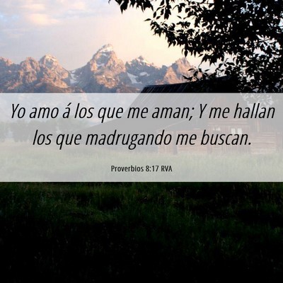 Picture 06 - Proverbios 8:17 RVA - Yo amo á los que me aman; Y me hallan los que - Bible Verse Picture