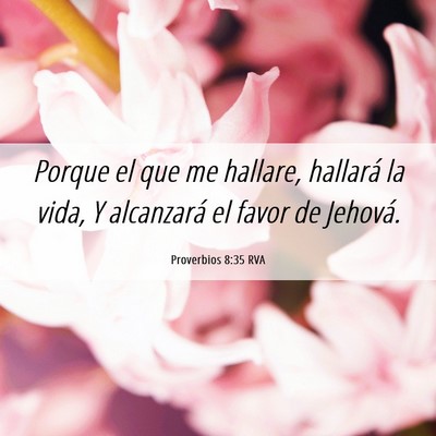 Picture 06 - Proverbios 8:35 RVA - Porque el que me hallare, hallará la vida, Y - Bible Verse Picture