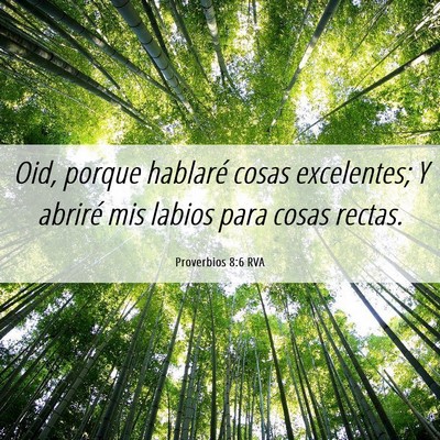Picture 06 - Proverbios 8:6 RVA - Oid, porque hablaré cosas excelentes; Y abriré - Bible Verse Picture