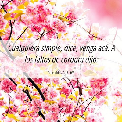Picture 06 - Proverbios 9:16 RVA - Cualquiera simple, dice, venga acá. A los faltos - Bible Verse Picture
