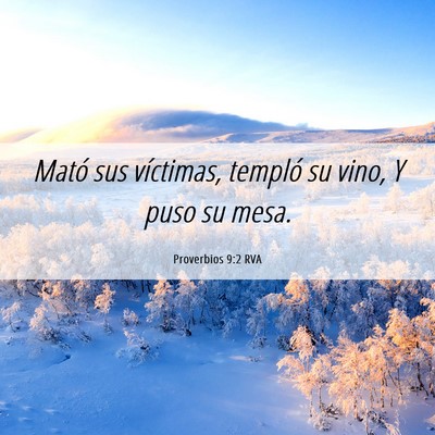 Picture 06 - Proverbios 9:2 RVA - Mató sus víctimas, templó su vino, Y puso su - Bible Verse Picture