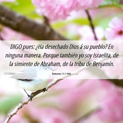 Picture 06 - Romanos 11:1 RVA - DIGO pues: ¿Ha desechado Dios á su pueblo? En - Bible Verse Picture