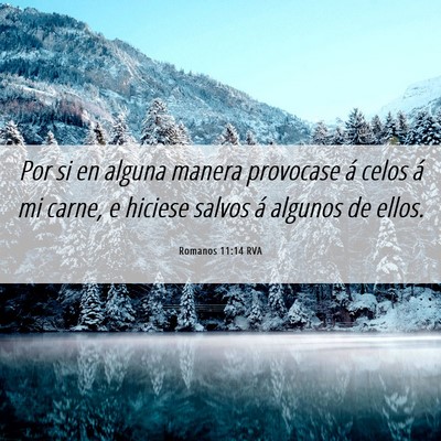 Picture 06 - Romanos 11:14 RVA - Por si en alguna manera provocase á celos á mi - Bible Verse Picture
