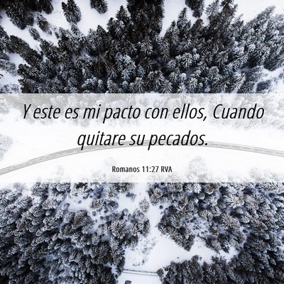 Picture 06 - Romanos 11:27 RVA - Y este es mi pacto con ellos, Cuando quitare su - Bible Verse Picture