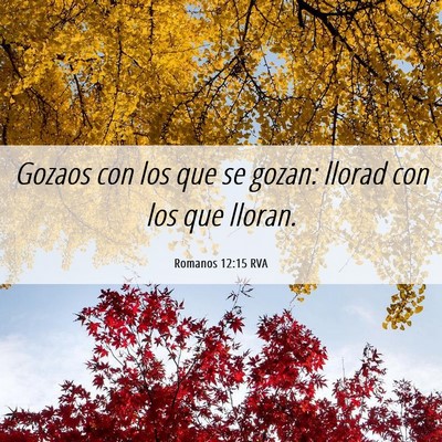 Picture 06 - Romanos 12:15 RVA - Gozaos con los que se gozan: llorad con los que - Bible Verse Picture