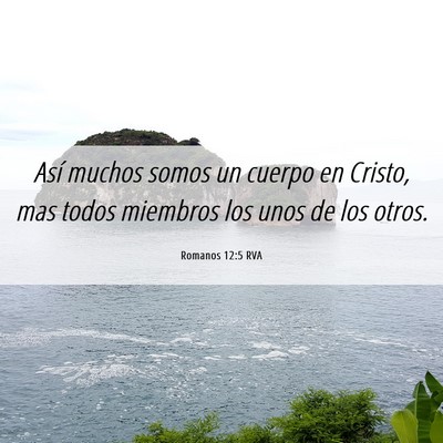 Picture 06 - Romanos 12:5 RVA - Así muchos somos un cuerpo en Cristo, mas todos - Bible Verse Picture