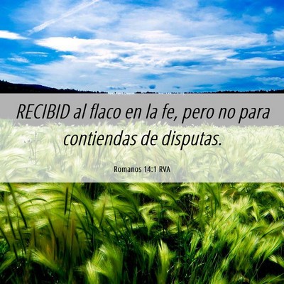 Picture 06 - Romanos 14:1 RVA - RECIBID al flaco en la fe, pero no para - Bible Verse Picture