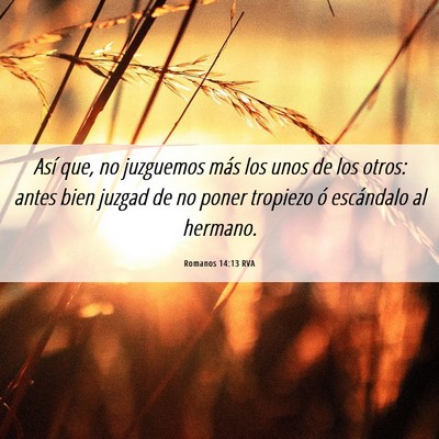 Picture 06 - Romanos 14:13 RVA - Así que, no juzguemos más los unos de los - Bible Verse Picture