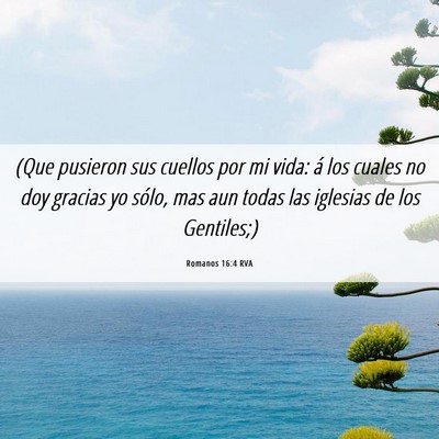 Picture 06 - Romanos 16:4 RVA - (Que pusieron sus cuellos por mi vida: á los - Bible Verse Picture
