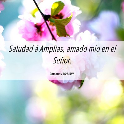 Picture 06 - Romanos 16:8 RVA - Saludad á Amplias, amado mío en el - Bible Verse Picture