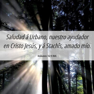 Picture 06 - Romanos 16:9 RVA - Saludad á Urbano, nuestro ayudador en Cristo - Bible Verse Picture