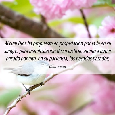 Picture 06 - Romanos 3:25 RVA - Al cual Dios ha propuesto en propiciación por la - Bible Verse Picture