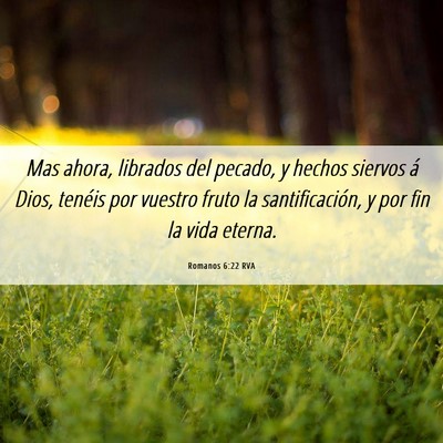 Picture 06 - Romanos 6:22 RVA - Mas ahora, librados del pecado, y hechos siervos - Bible Verse Picture