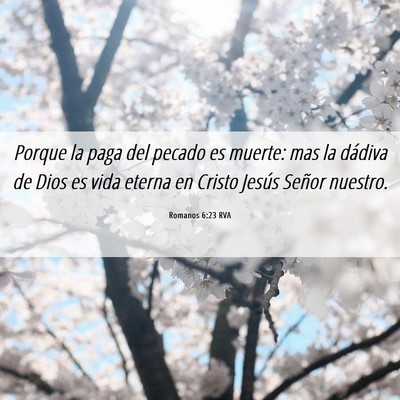 Picture 06 - Romanos 6:23 RVA - Porque la paga del pecado es muerte: mas la - Bible Verse Picture