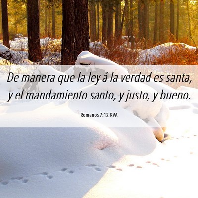 Picture 06 - Romanos 7:12 RVA - De manera que la ley á la verdad es santa, y el - Bible Verse Picture