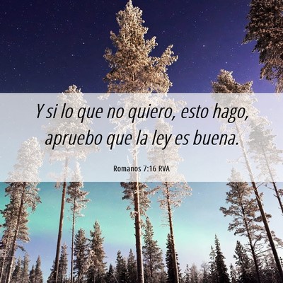 Picture 06 - Romanos 7:16 RVA - Y si lo que no quiero, esto hago, apruebo que la - Bible Verse Picture