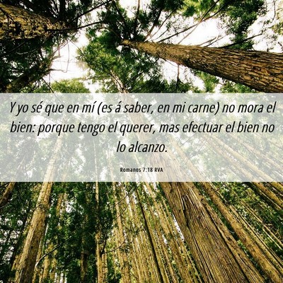 Picture 06 - Romanos 7:18 RVA - Y yo sé que en mí (es á saber, en mi carne) no - Bible Verse Picture