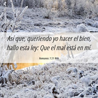 Picture 06 - Romanos 7:21 RVA - Así que, queriendo yo hacer el bien, hallo esta - Bible Verse Picture