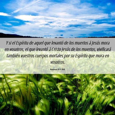 Picture 06 - Romanos 8:11 RVA - Y si el Espíritu de aquel que levantó de los - Bible Verse Picture