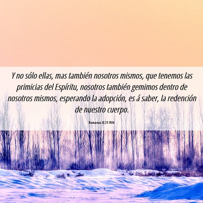 Picture 06 - Romanos 8:23 RVA - Y no sólo ellas, mas también nosotros mismos, - Bible Verse Picture