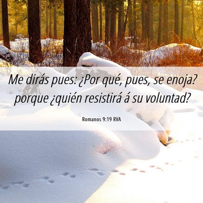 Picture 06 - Romanos 9:19 RVA - Me dirás pues: ¿Por qué, pues, se enoja? - Bible Verse Picture